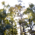 Yrsel: orsak, symtom & behandling